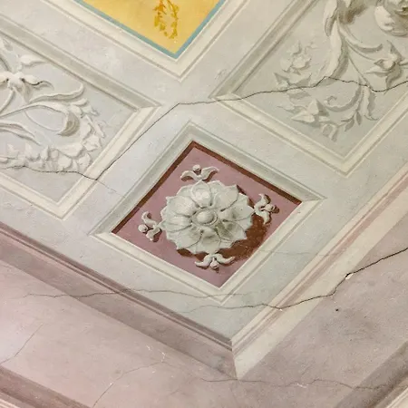 Stupido フィレンツェ